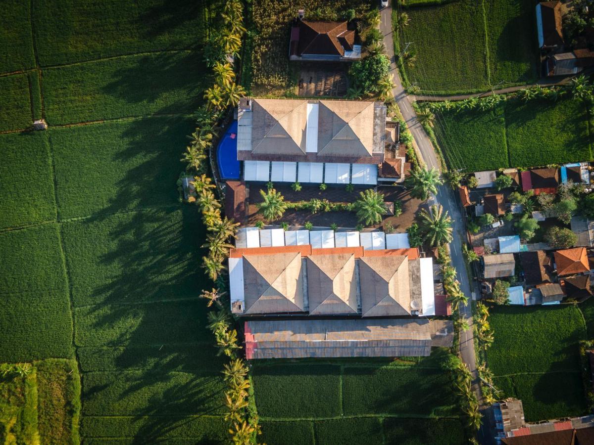 Townhouse, Pool & Kitchen, Ubud, Cucus Mondok Aparthotel Ngoại thất bức ảnh